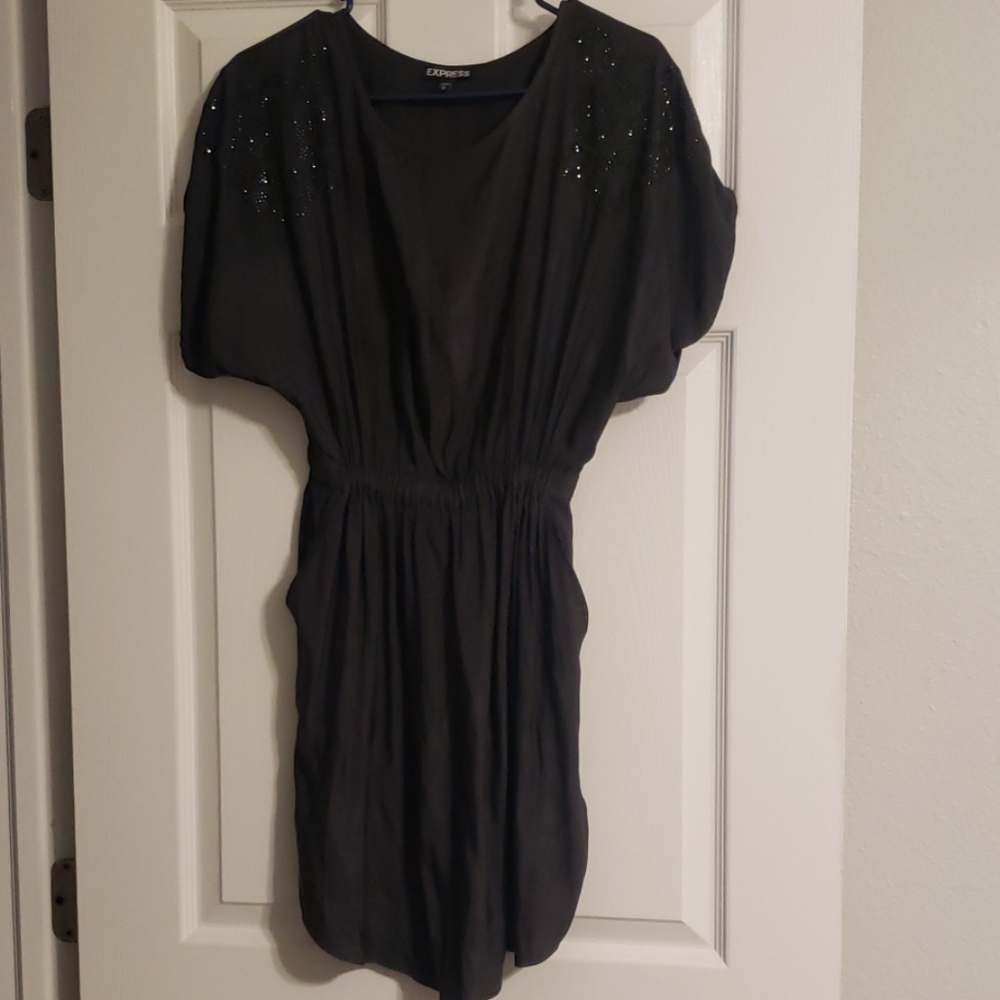Express Dress - Picture 4 of 4